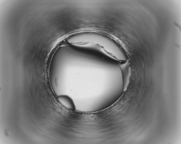 X0000095921168200802011206