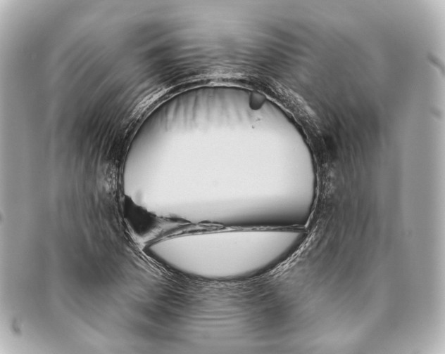 X0000095921169200802011206