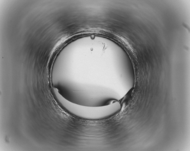 X0000095921172200802011206