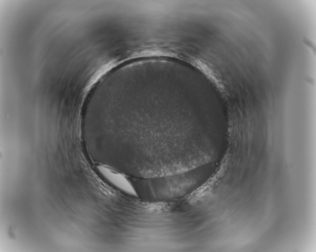 X0000095921173200802011206