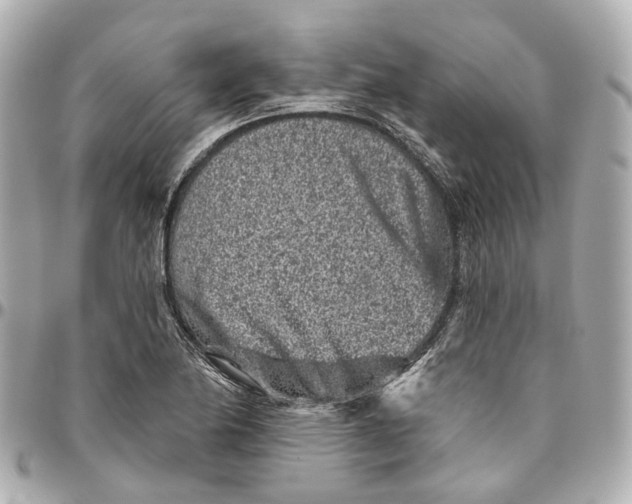 X0000095921174200802011206