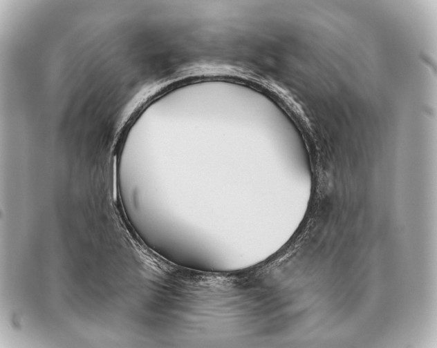 X0000095921175200802011206