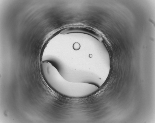 X0000095921176200802011206