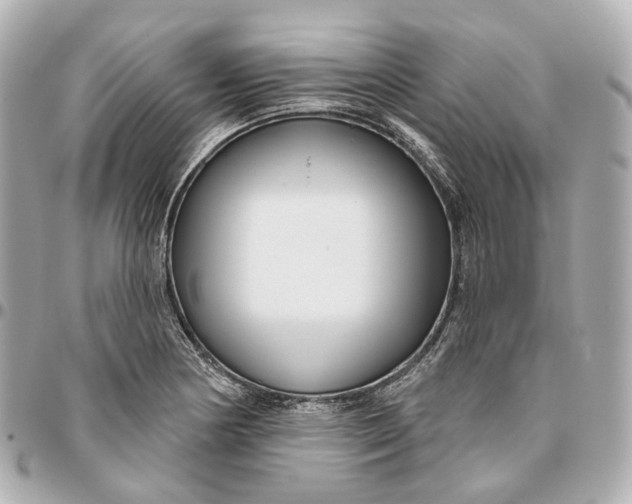 X0000095921178200802011206