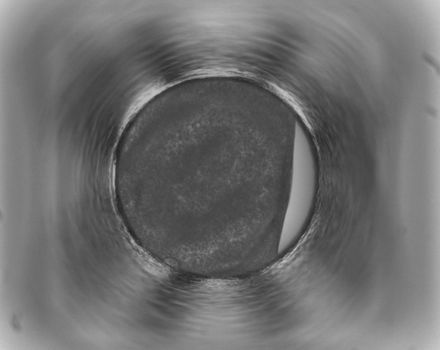 X0000095921179200802011206