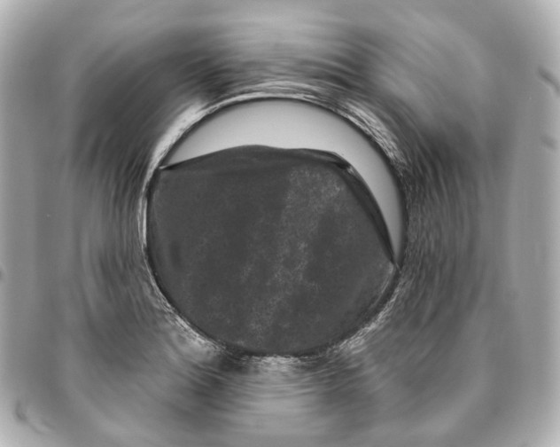 X0000095921180200802011206