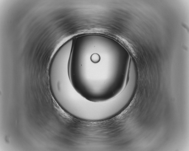 X0000095921184200802011206