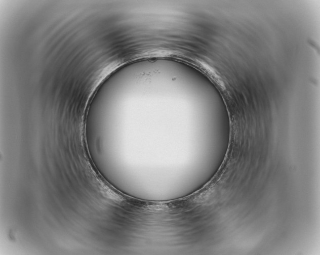 X0000095921186200802011206