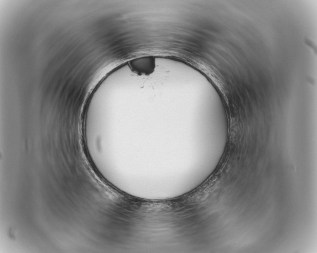 X0000095921187200802011206