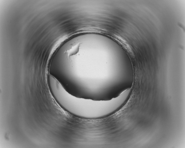 X0000095921188200802011206