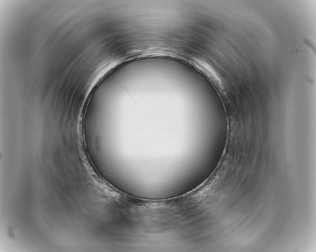 X0000095921190200802011206