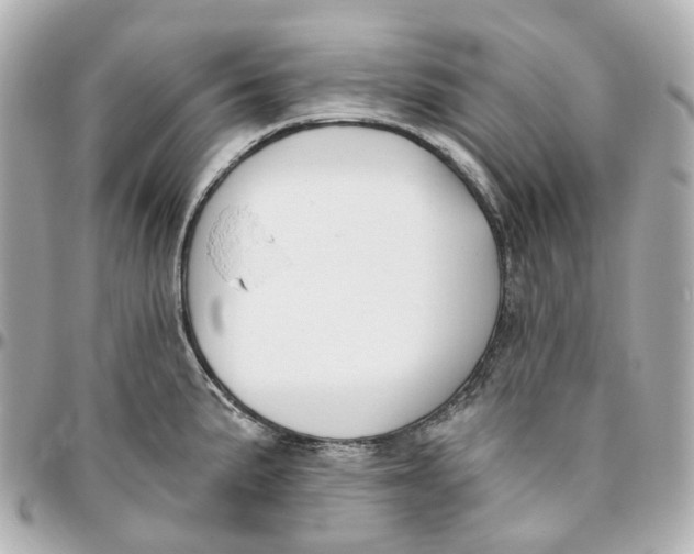 X0000095921191200802011206