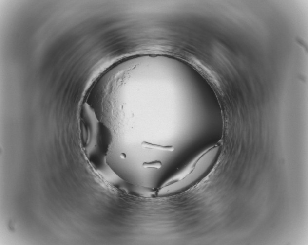 X0000095921192200802011206