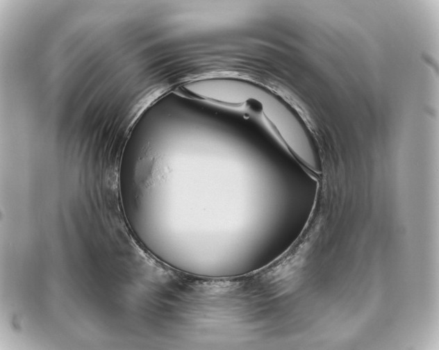 X0000095921193200802011206