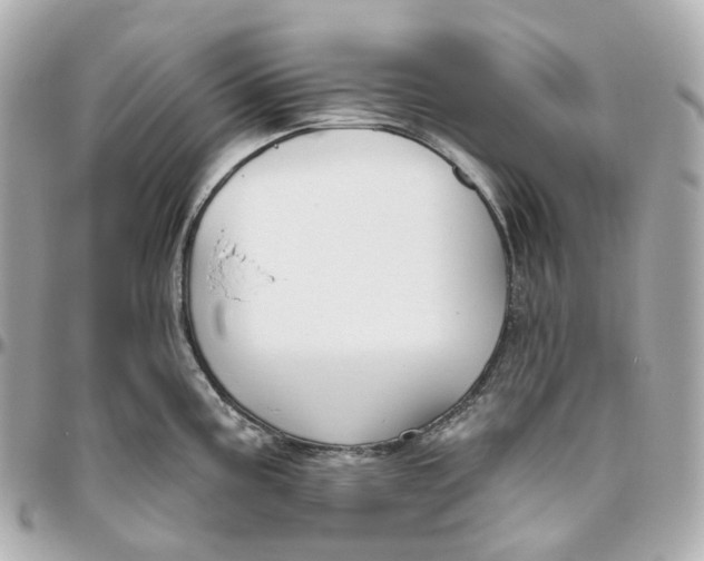 X0000095921195200802011206