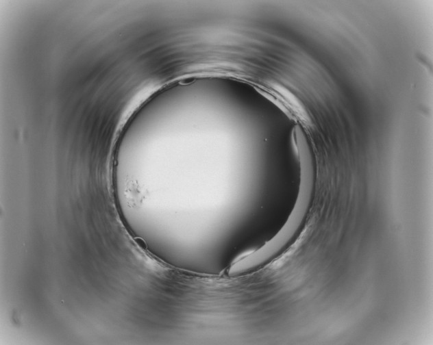 X0000095921196200802011206