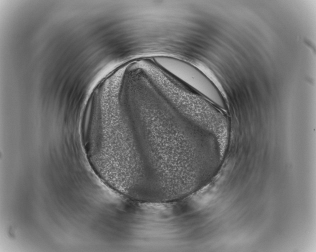 X0000095921197200802011206