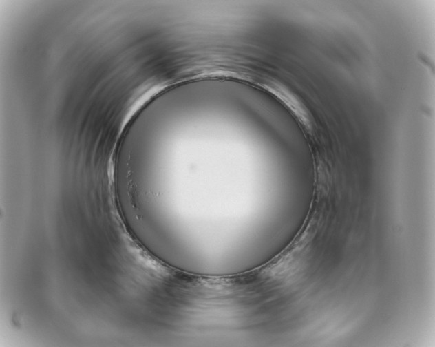 X0000095921198200802011206