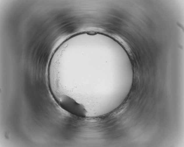 X0000095921199200802011206