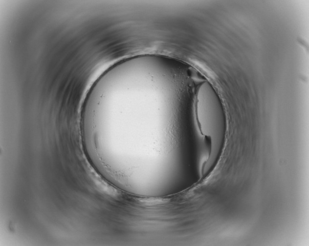 X0000095921200200802011206