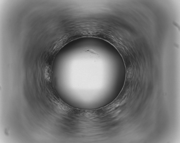 X0000095921202200802011205