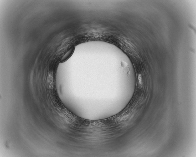 X0000095921203200802011205