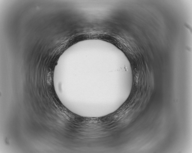 X0000095921204200802011205