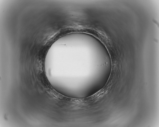 X0000095921205200802011205