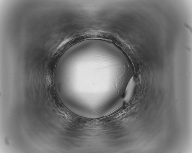 X0000095921206200802011205