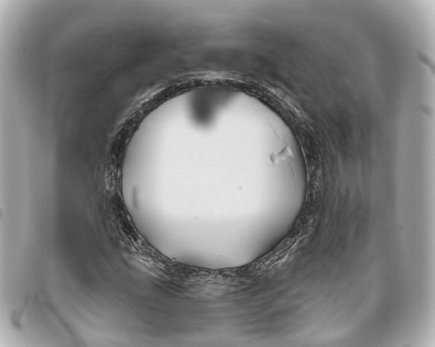 X0000095921207200802011205