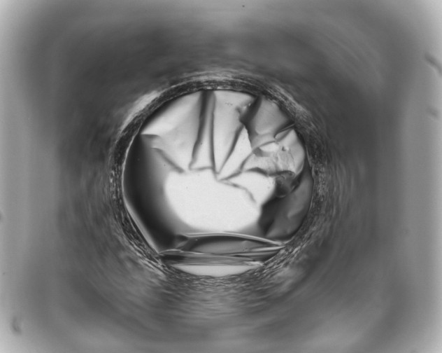 X0000095921208200802011205