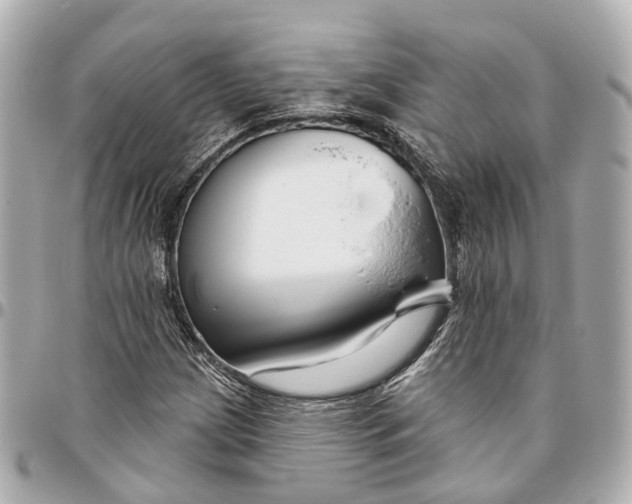 X0000095921209200802011205