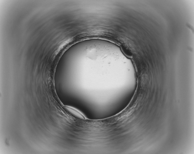 X0000095921210200802011205