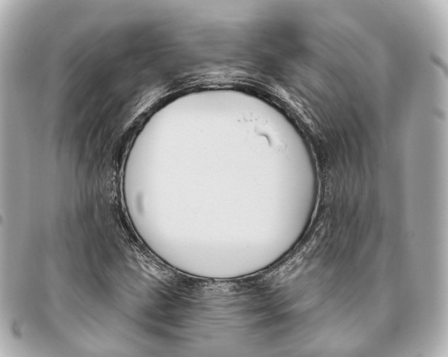 X0000095921211200802011205