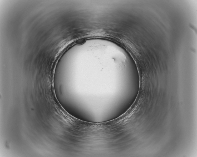 X0000095921212200802011205