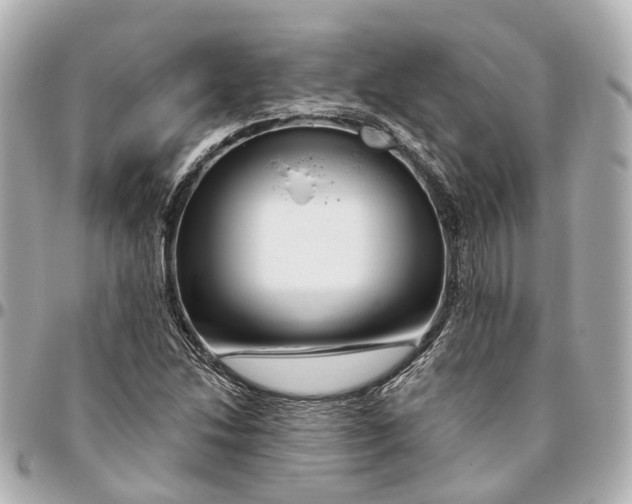 X0000095921214200802011205