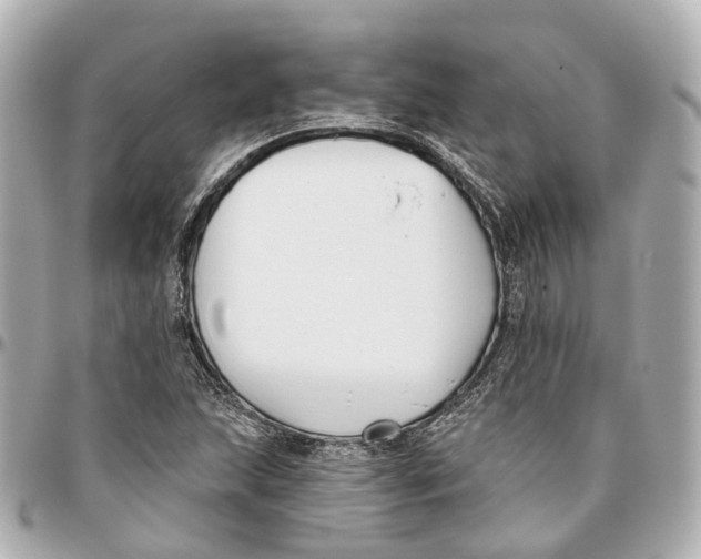 X0000095921215200802011205