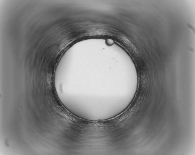 X0000095921217200802011205