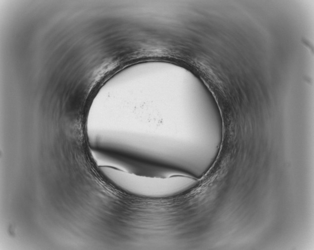 X0000095921218200802011205