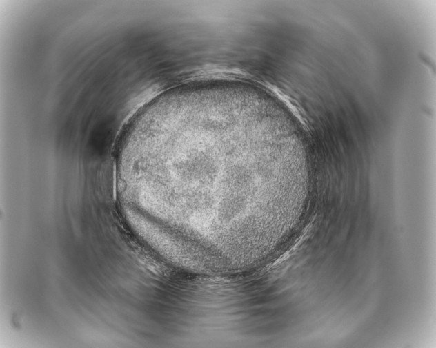 X0000095921219200802011205