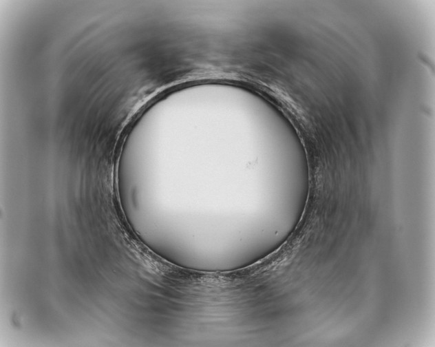 X0000095921220200802011205