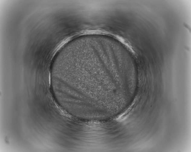 X0000095921221200802011205