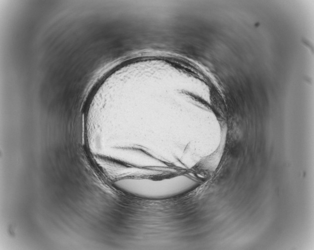 X0000095921223200802011205