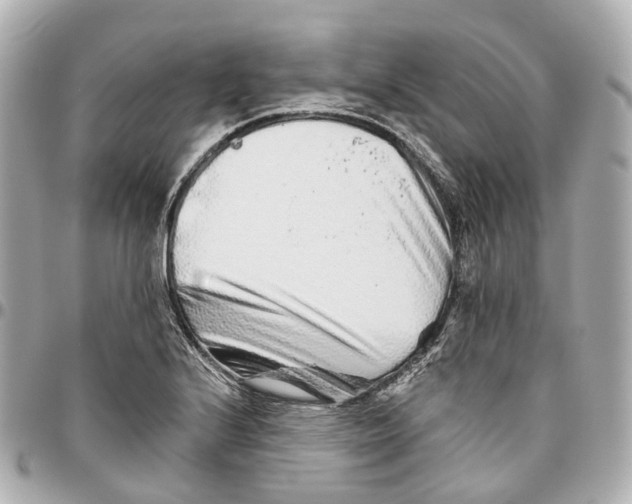 X0000095921224200802011205