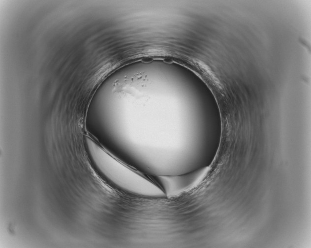 X0000095921225200802011205