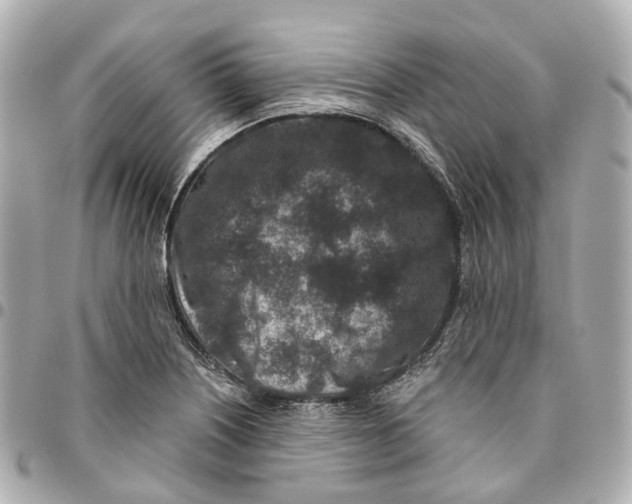 X0000095921226200802011205