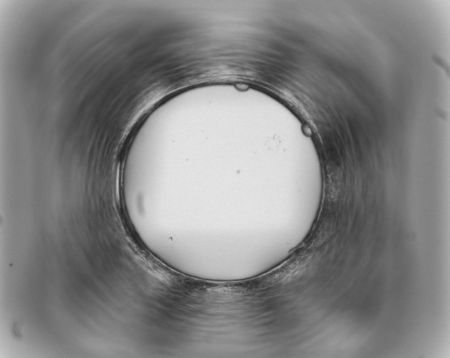 X0000095921227200802011205