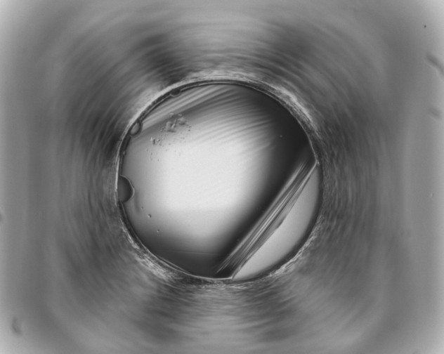 X0000095921228200802011205