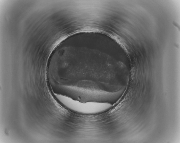 X0000095921229200802011205