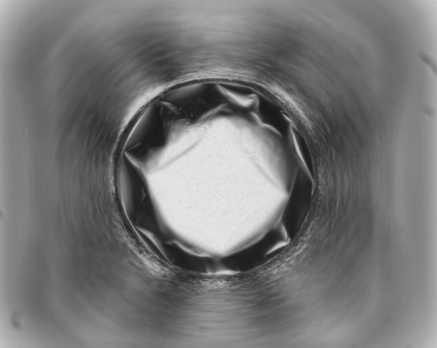 X0000095921230200802011205